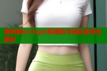 揭秘糖心vlog小狐狸的与精彩故事全解析