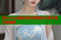 糖心vlog畅通无阻全程精彩内容不被拦截揭秘